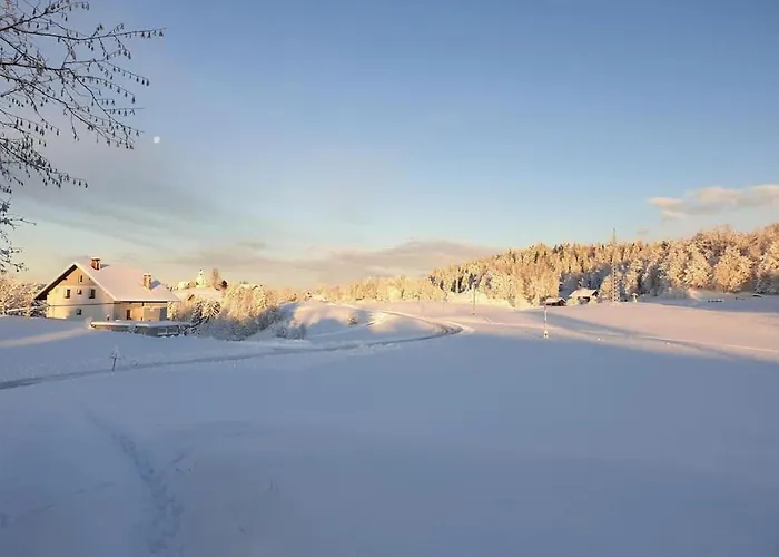 Апартаменты Sofia Идрия