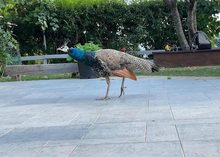 Sofia Lägenhet Idrija